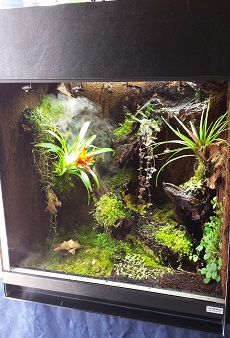 Paludarium ingericht kopen zelf bouwen