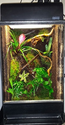 Paludarium ingericht kopen zelf bouwen